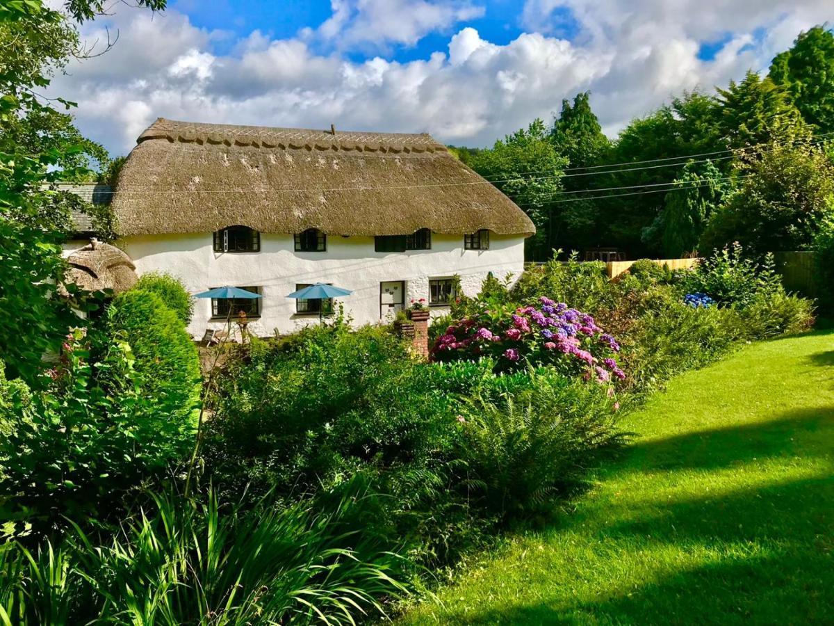 The Barn And Pinn Cottage Sidmouth Exterior photo
