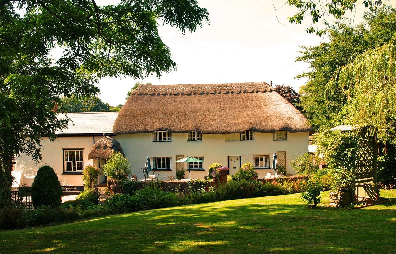 The Barn And Pinn Cottage Sidmouth Exterior photo