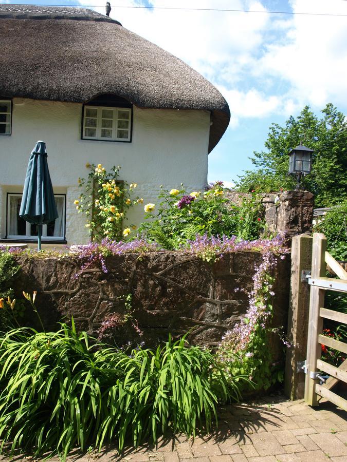 The Barn And Pinn Cottage Sidmouth Exterior photo